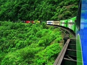 atlantic-rainforest-train-2